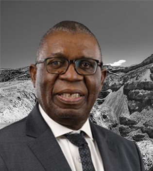 Sydney Mufamadi